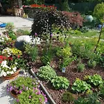 Feriegård Nel Giardino Di Dafne