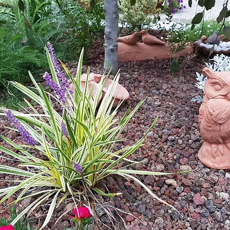 Nel Giardino Di Dafne Agroturismo