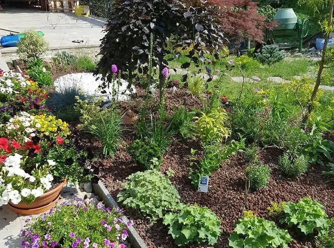 팜스테이 Nel Giardino Di Dafne