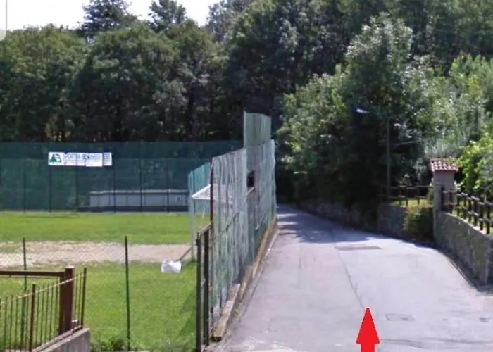 Nel Giardino Di Dafne