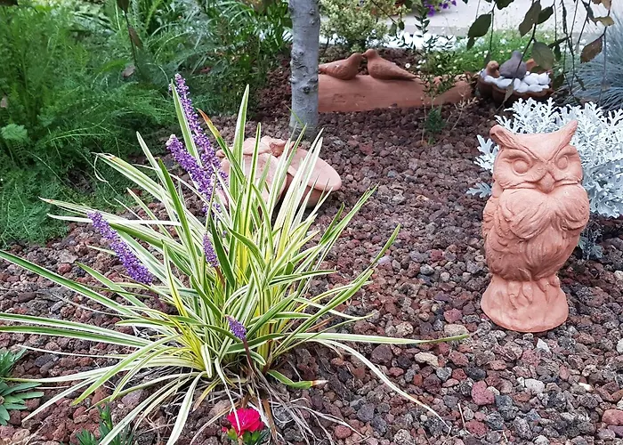 Nel Giardino Di Dafne Lantgård