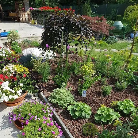 Vakantieboerderij Nel Giardino Di Dafne